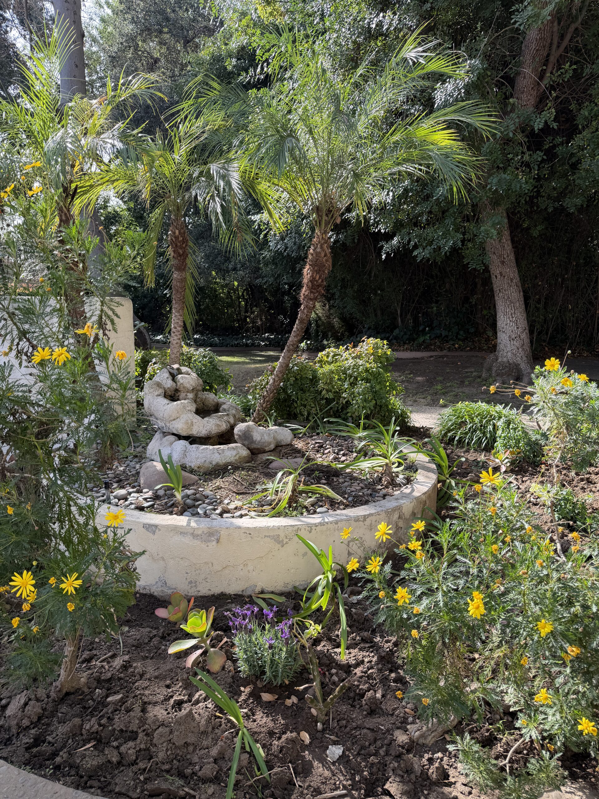 Take a quick look inside Room 1 at The Retreat, our cozy assisted living home at The Oaks of Pasadena. 